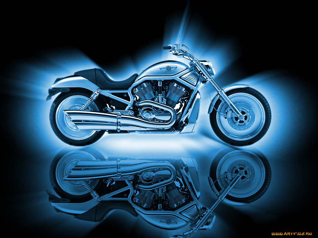 , harley, davidson